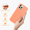 DTTO Compatible with iPhone 12/12 Pro Case,Shockproof Silicone [Romance Series] Cover [Enhanced Camera and Screen Protection] with Honeycomb Grid Cushion for iPhone 12 6.1” 2020,Midnight Green